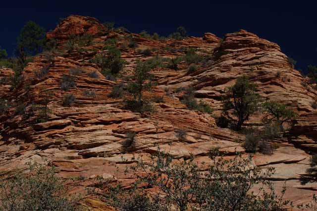 Zion NP